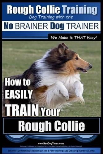 Rough collie training dog - rough,