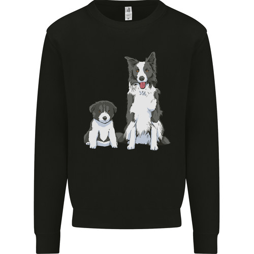 Border collie and - a, puppy