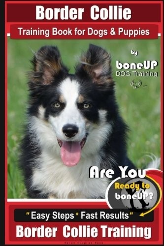 Border collie training book - training,