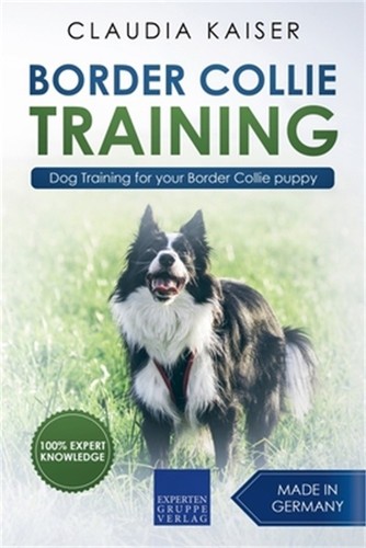 Border collie training dog - collie,
