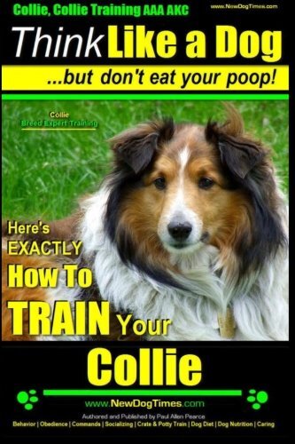 Collie training aaa - training,