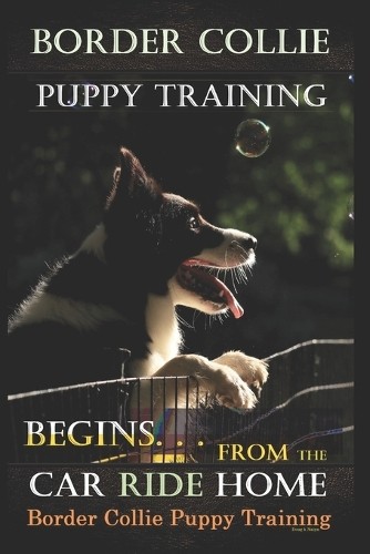 Doug naiyn border collie - doug,