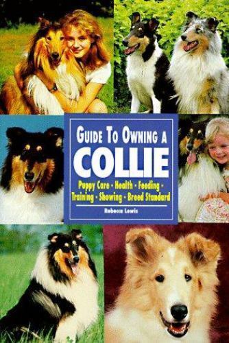 Guide owning collie - to,