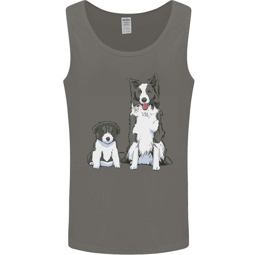Border collie and puppy - puppy, mens