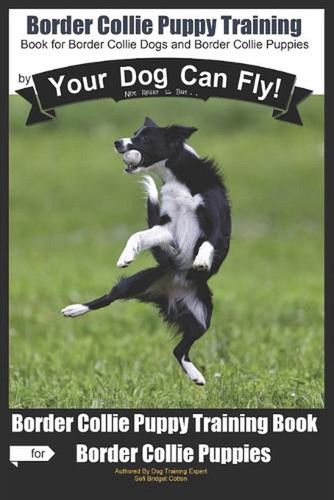 Border collie puppy - collie, training