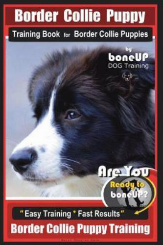 Border collie puppy training - border,