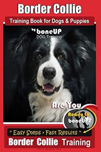Border collie training book - border,