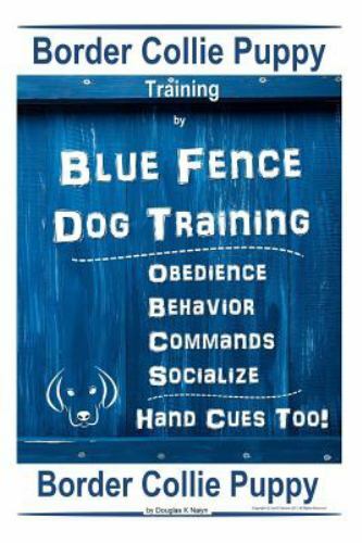 Border collie puppy - puppy, training