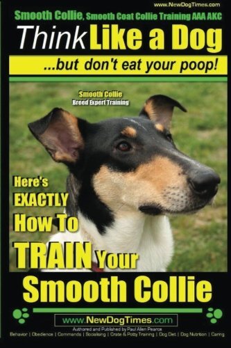 Smooth collie coat - smooth,