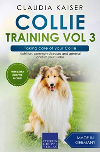 Collie training vol - training, 3