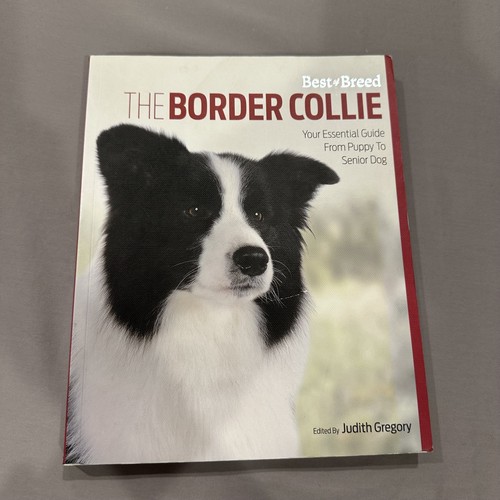 Best breed border collie - of,