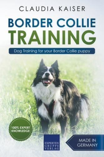 Border collie training - training,