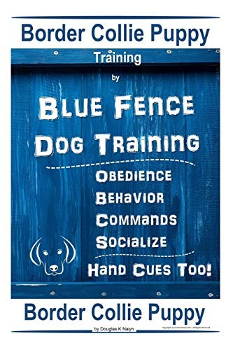 Border collie puppy training - puppy,