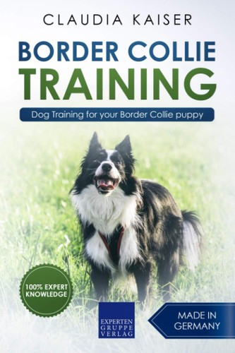 Border collie training dog - collie, training: